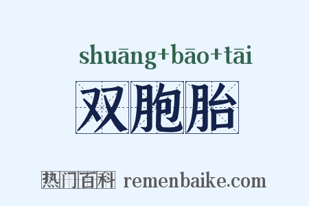 双胞胎是什么意思的图片